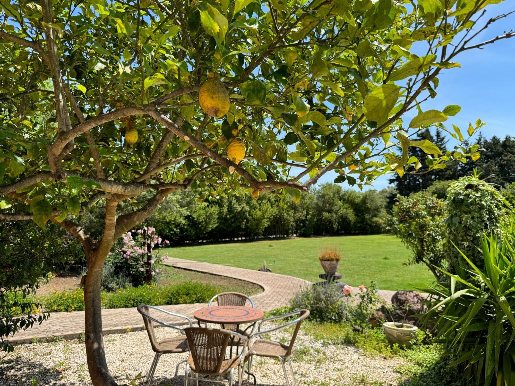 Villa L'Orto San Vero Milis Exterior foto