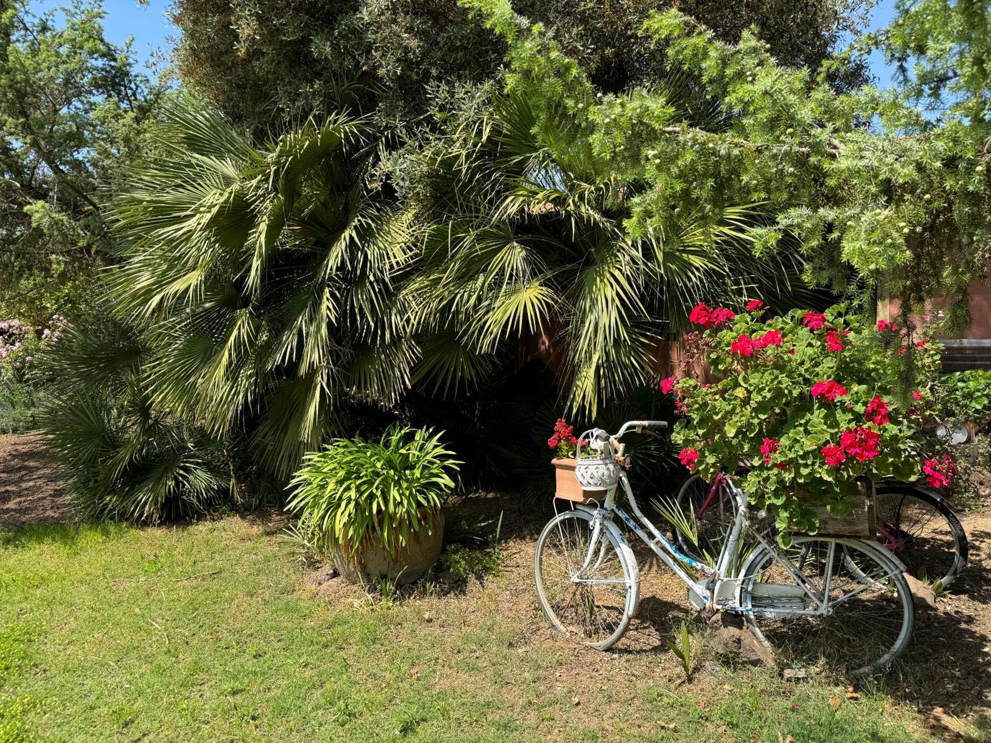 Villa L'Orto San Vero Milis Exterior foto